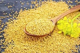 Mustard Seeds Image