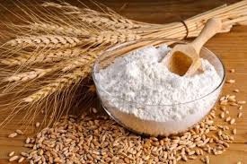 Organic Wheat Flour (Lok-1)