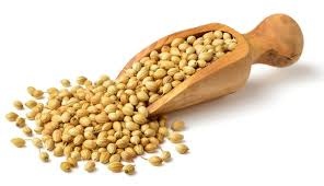 Whole Coriander Seeds Image