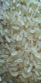 pab_292135240_swarna_masoori_rice_1000x1000.jpeg